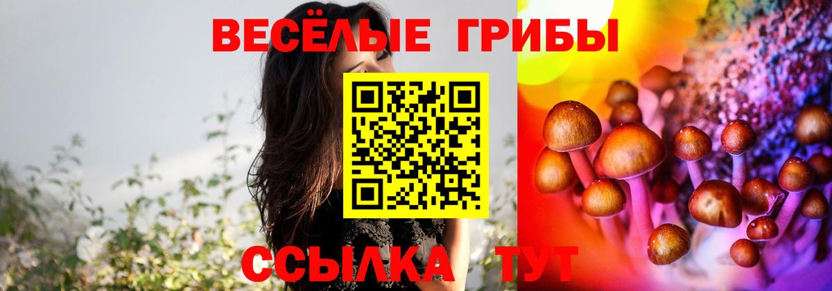Псилоцибиновые грибы Psilocybine cubensis  Вход с VPN  Кемерово 